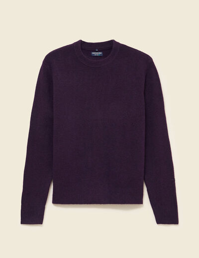 Pull manches longues col rond violet fonc&eacute; homme
