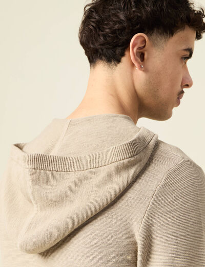 Pull à capuche gris homme