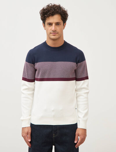 Pull fin col rond manches longues bleu marine homme