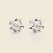 Boucles d'oreilles clous couleur argent femme