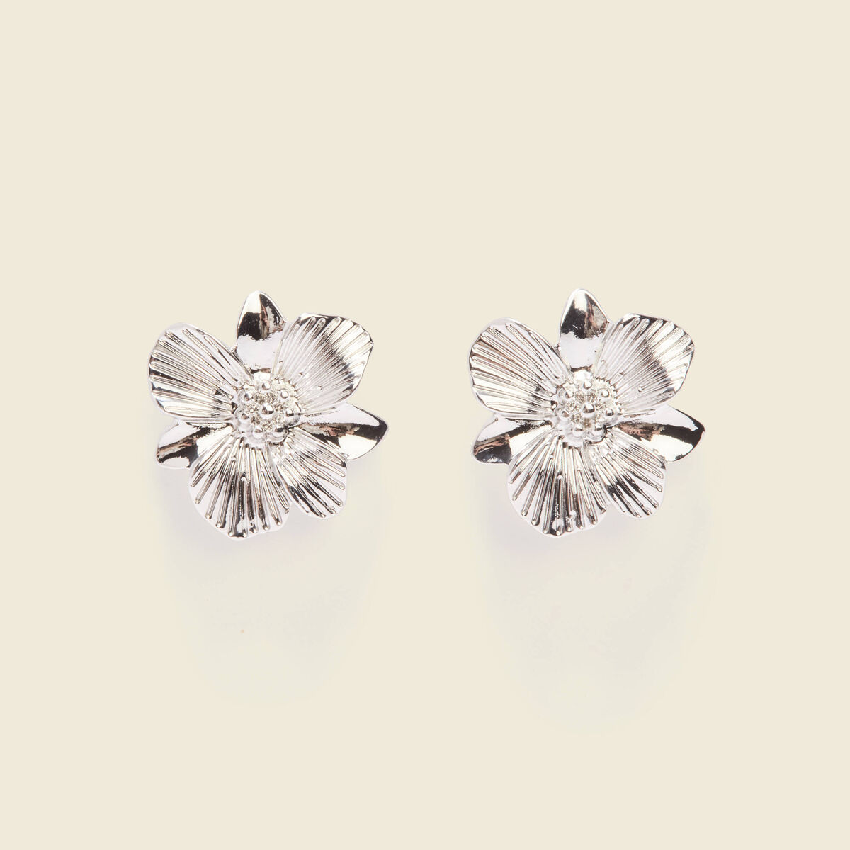 Boucles d'oreilles clous couleur argent femme