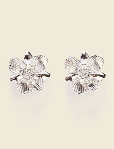 Boucles d'oreilles clous couleur argent femme