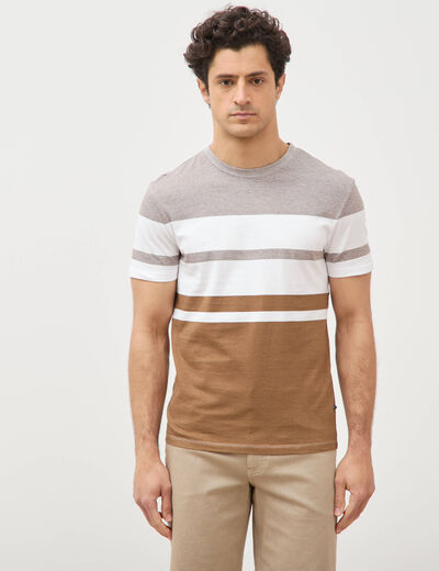 T-shirt manches courtes taupe homme