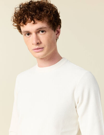 Pull éco-responsable ecru homme