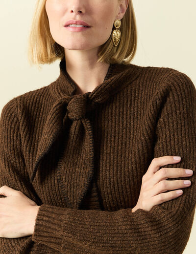 Pull col rond manches longues marron fonc&eacute; femme