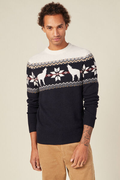 Pull manches longues bleu marine homme