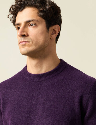 Pull manches longues col rond violet fonc&eacute; homme