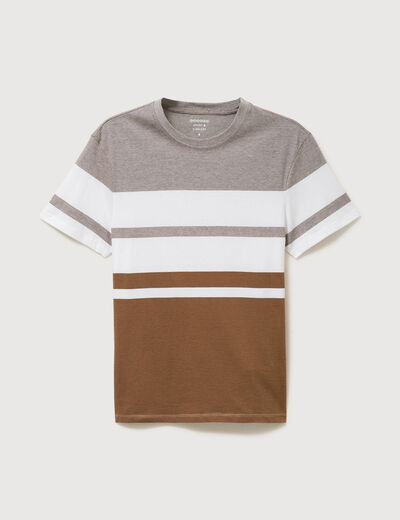 T-shirt manches courtes taupe homme