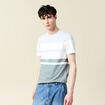 T-shirt manches courtes vert homme