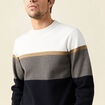 Pull manches longues bleu marine homme