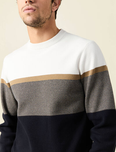Pull manches longues bleu marine homme