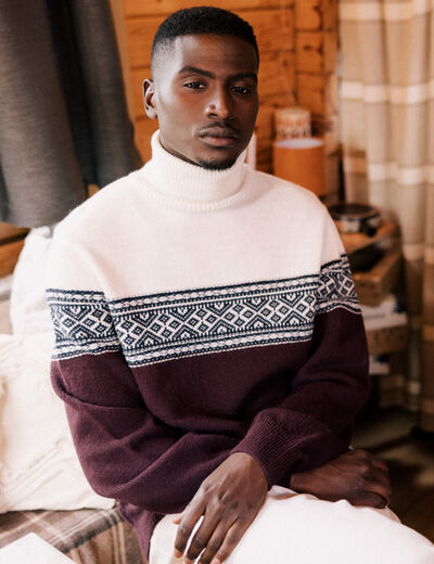 Pull manches longues prune homme