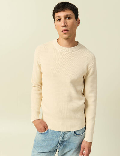 Pull col rond manches longues sable homme