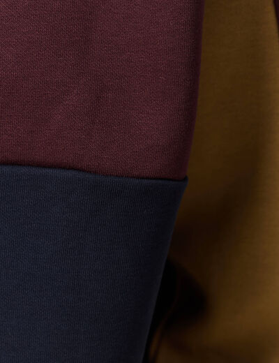 Sweat &agrave; capuche manches longues bordeaux homme