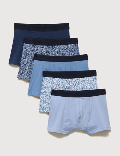 Lot de 5 boxers bleu gris homme