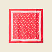 Foulard rouge fonc&eacute; femme