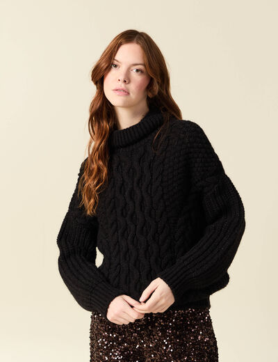 Pull manches longues col roul&eacute; brillant noir femme