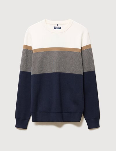 Pull manches longues bleu marine homme