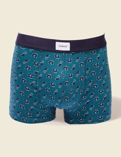 Lot 2 boxers vert foncé homme