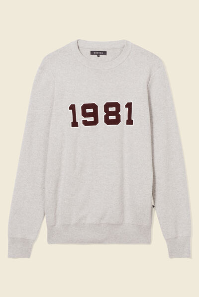 Pull manches longues col rond gris foncé homme