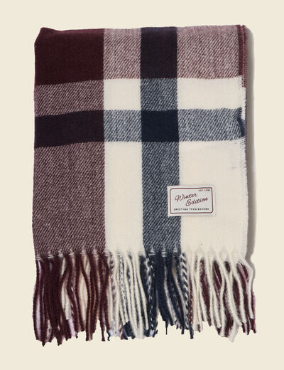 &Eacute;charpe bordeaux homme