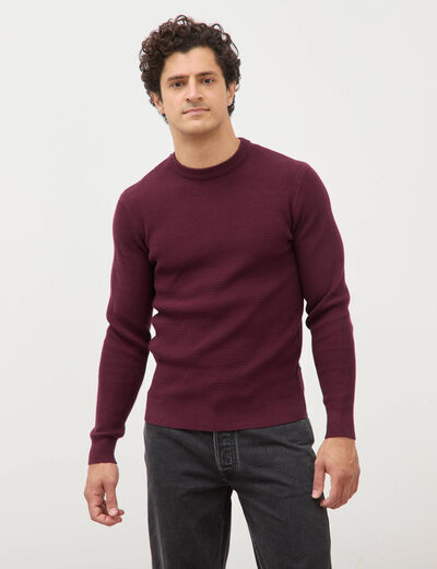 Pull droit manches longues prune homme
