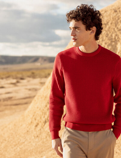 Pull éco-responsable rouge foncé homme