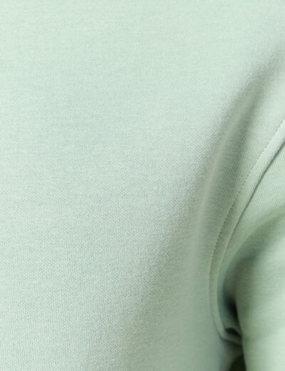 Sweat &agrave; capuche vert pastel homme