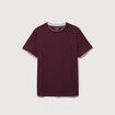 T-shirt droit col rond manches courtes prune homme