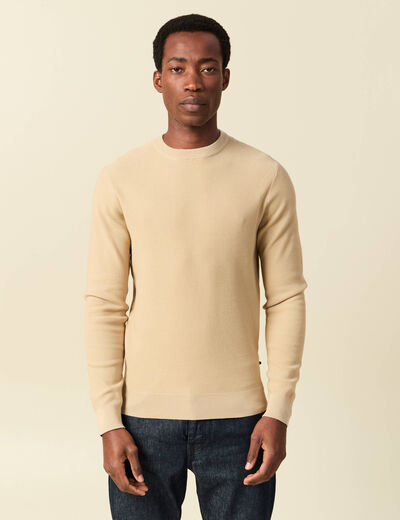 Pull fin col rond manches longues beige homme