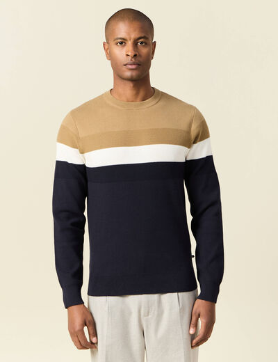 Pull manches longues bleu marine homme