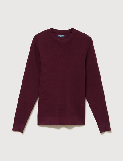 Pull droit manches longues prune homme