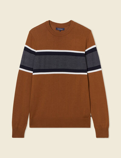 Pull manches longues marron homme