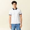 Polo cintr&eacute; en coton manches courtes blanc homme