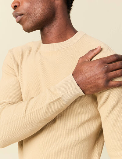 Pull fin col rond manches longues beige homme