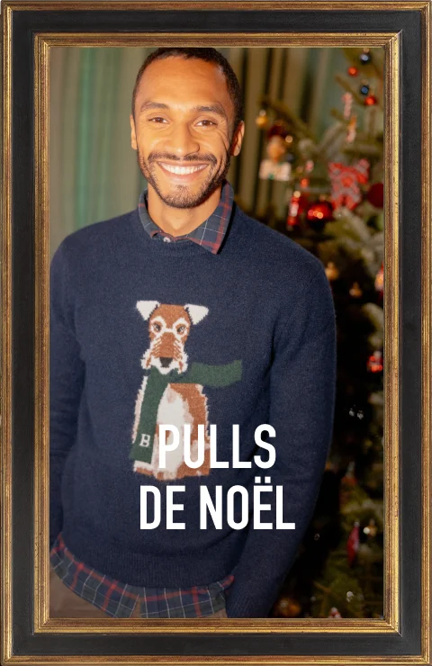 Pulls de noel homme