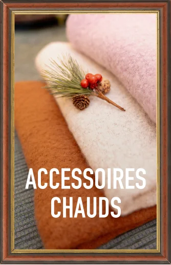 Accessoires chauds femme