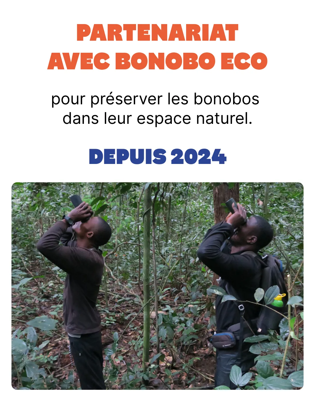 depuis 2024 partenariat avec bonobo eco