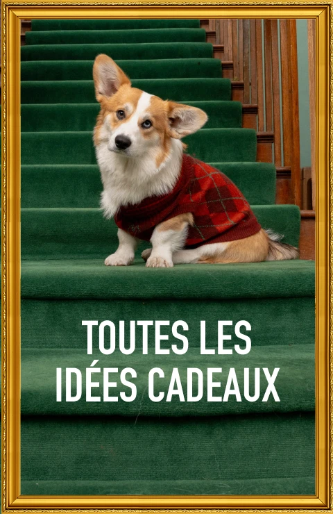 toutes les idées cadeaux