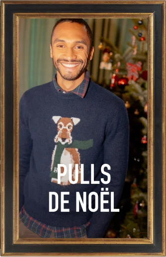 Pulls de noel homme
