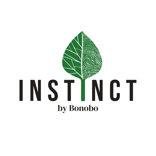 Instinct by Bonobo