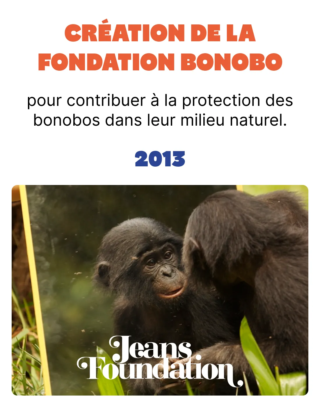2009 création de la fondation bonobo