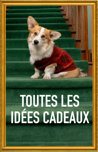 toutes les idées cadeaux
