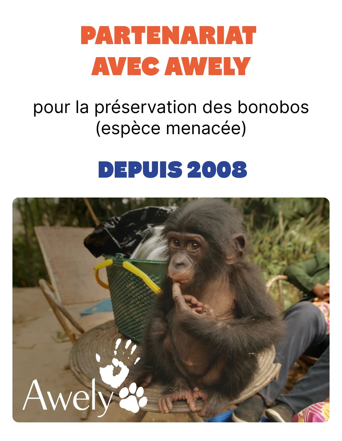 depuis 2008 partenariat avec awevy