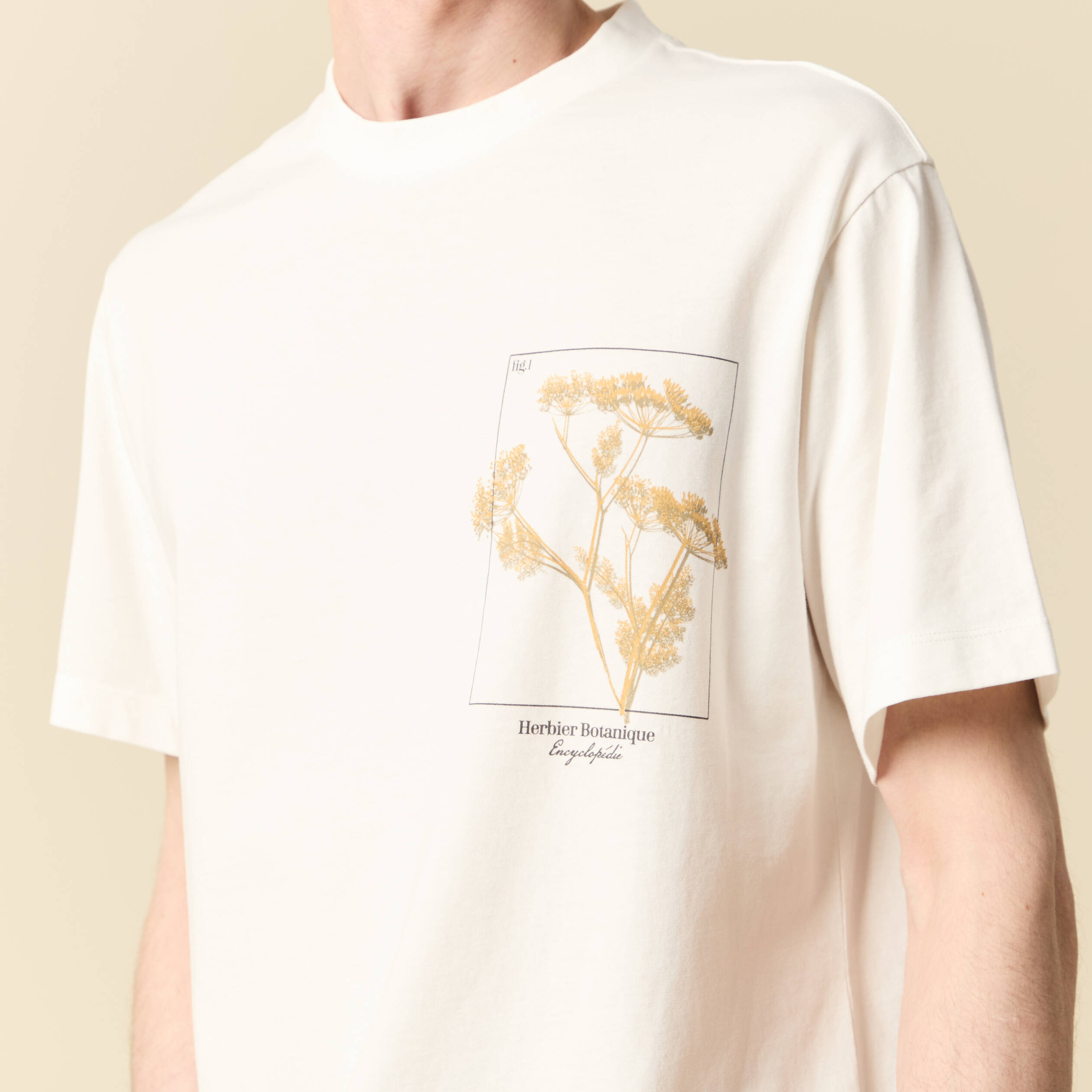 t shirt manches courtes ecru homme T-shirt manches courtes ecru homme