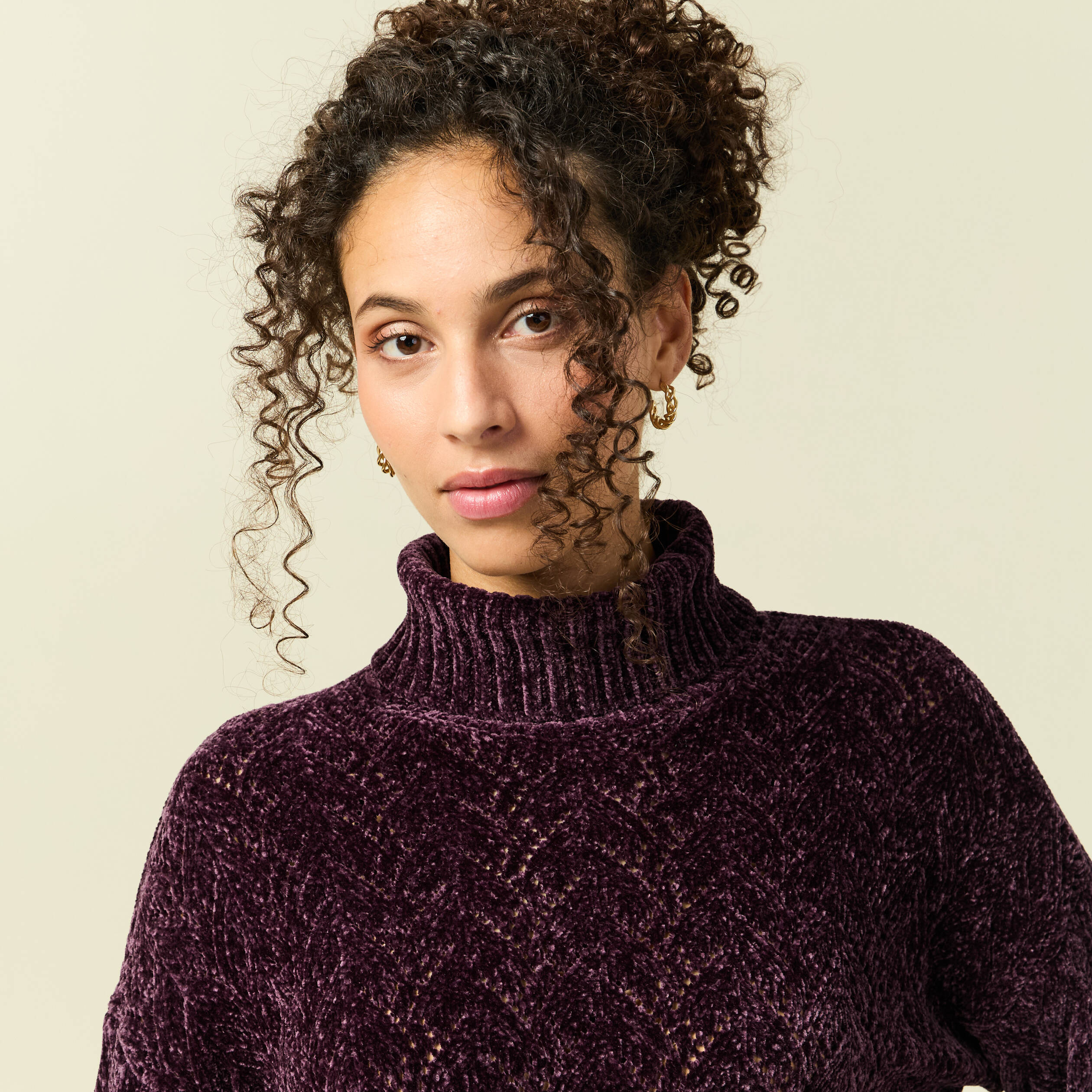 Pull col roul&eacute; manches longues prune femme