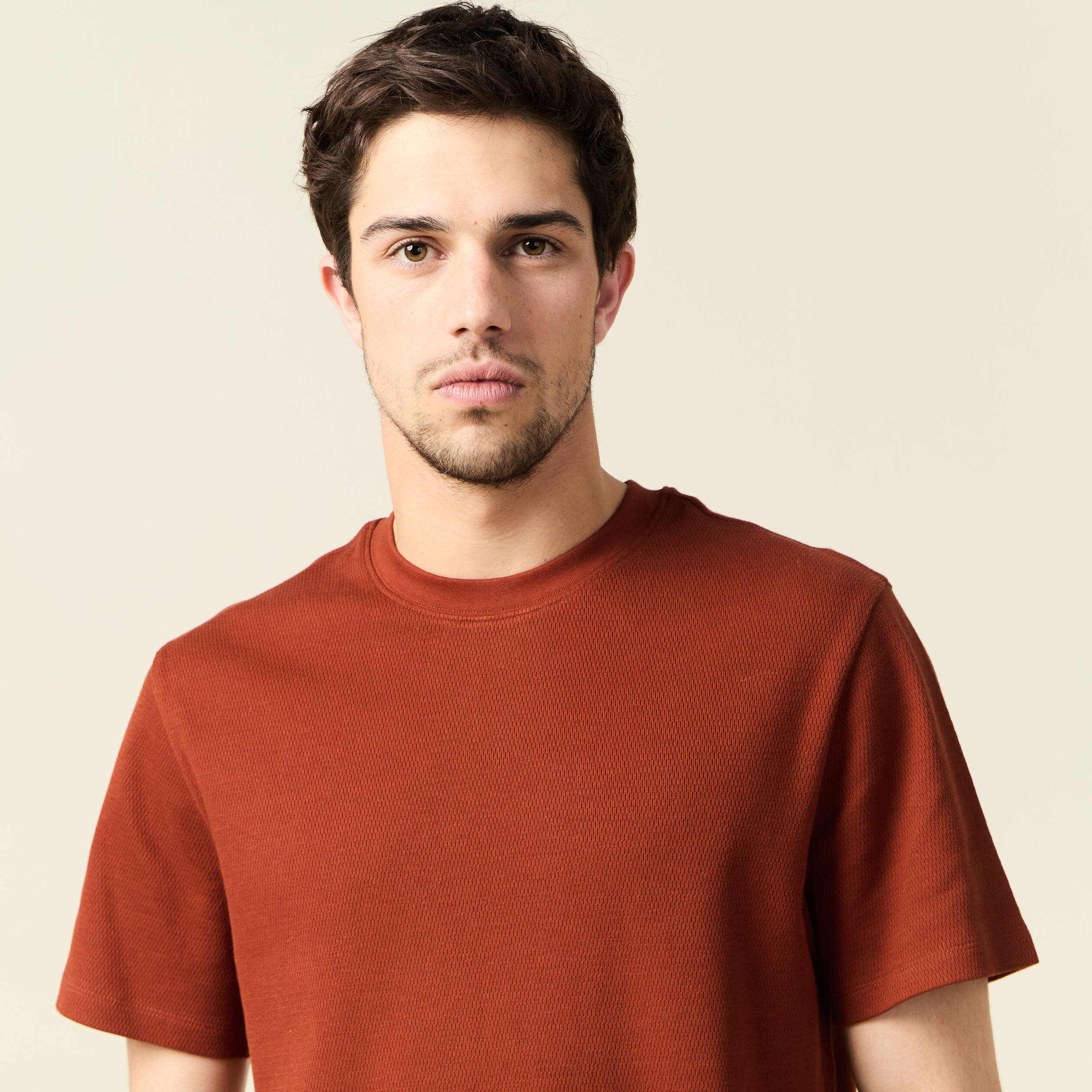 t shirt manches courtes marron cognac homme T-shirt manches courtes marron cognac homme