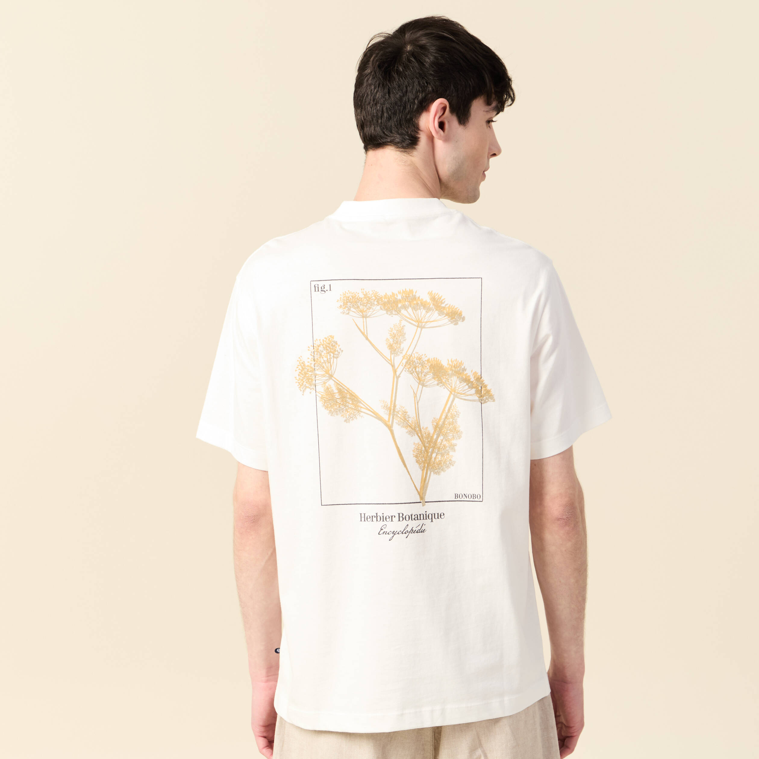 t shirt manches courtes ecru homme T-shirt manches courtes ecru homme