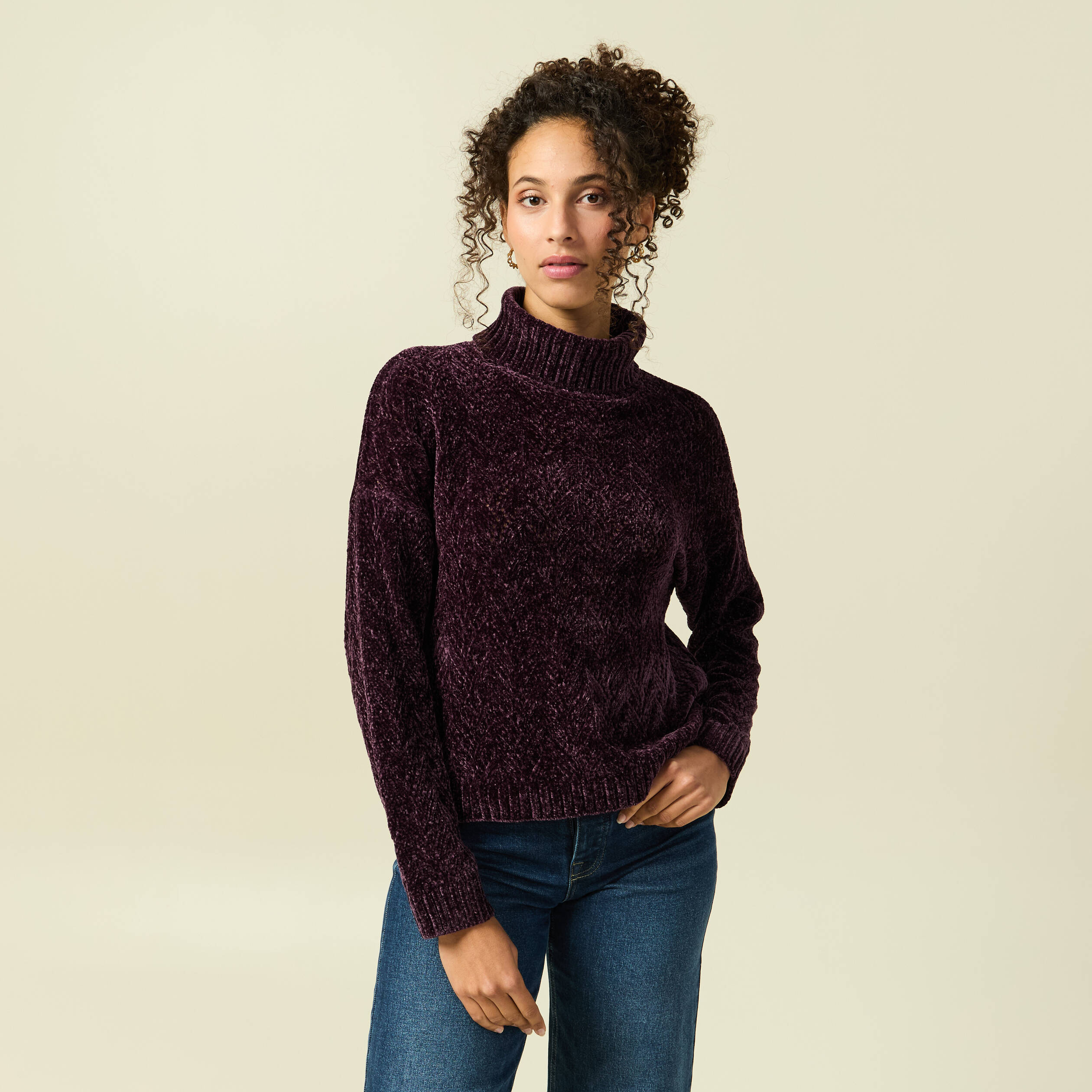 Pull col roul&eacute; manches longues prune femme