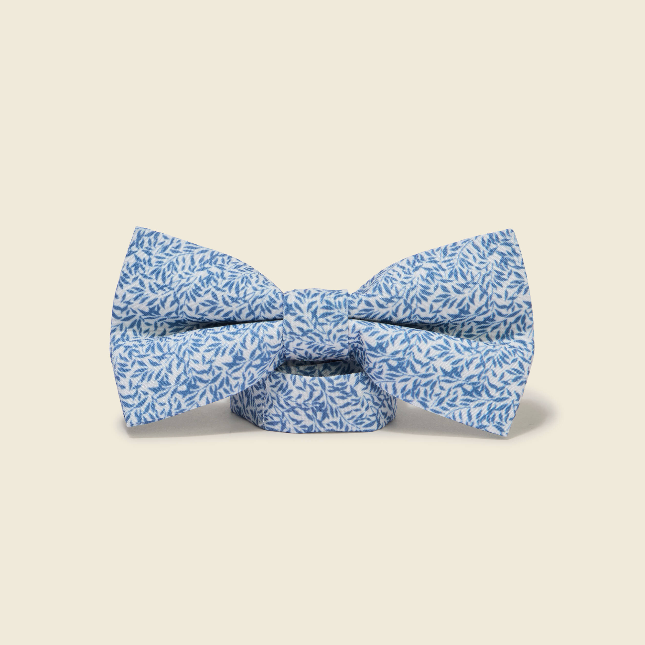 Noeud papillon vert clair homme